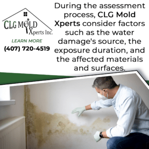 CLG Mold Xperts identifying water damage source
