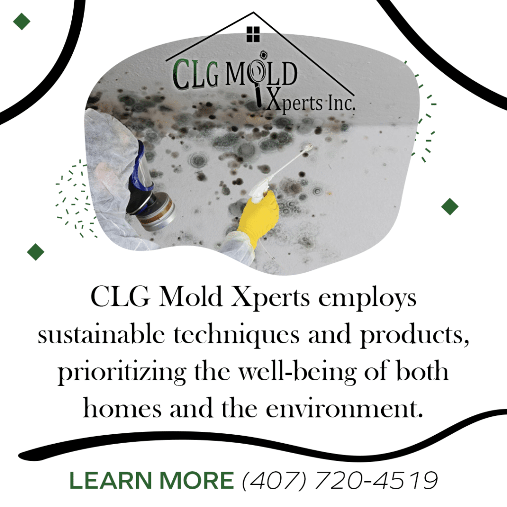 CLG-Mold-Xperts-employs-sustainable-techniques-and-products