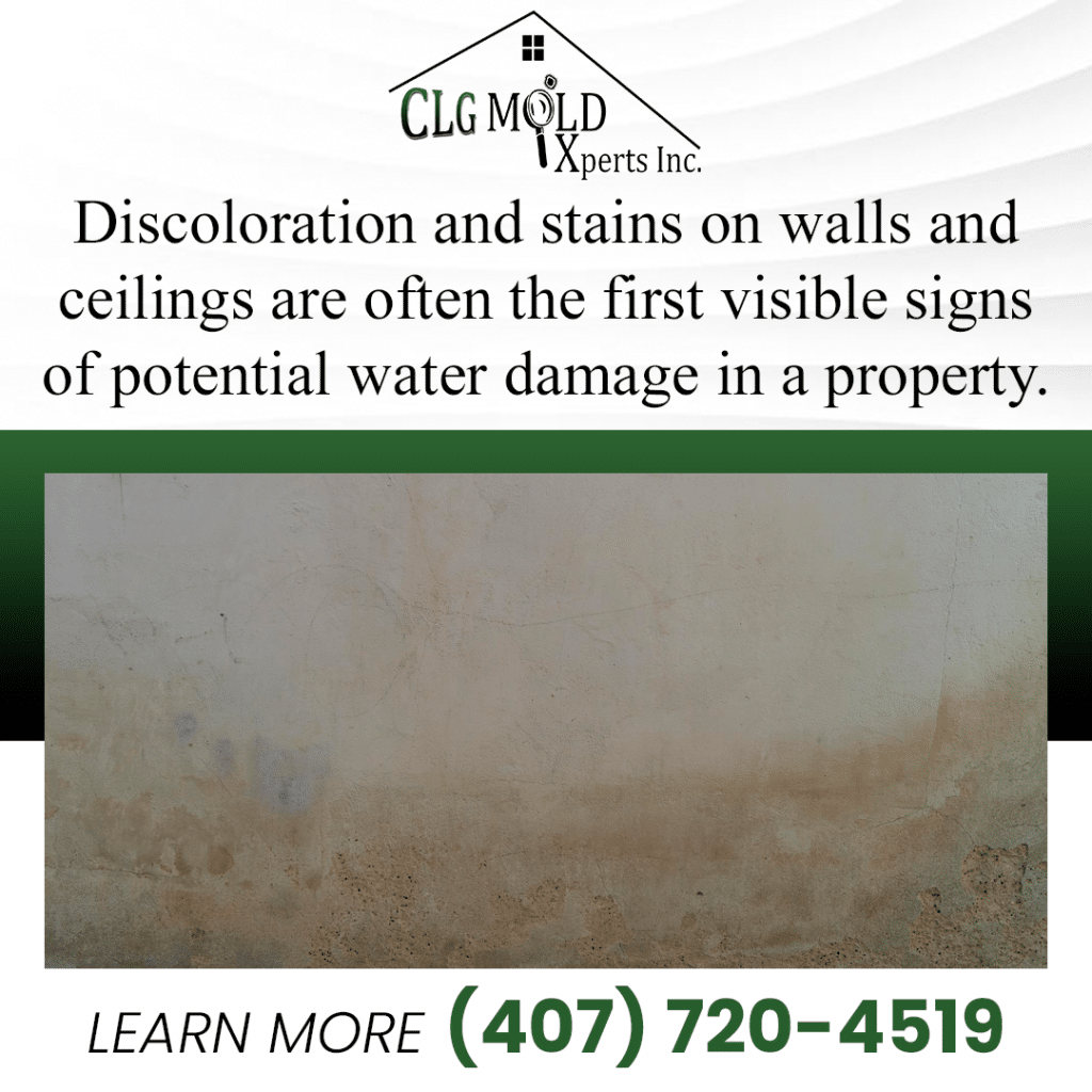 visible-signs-of-potential-water-damage